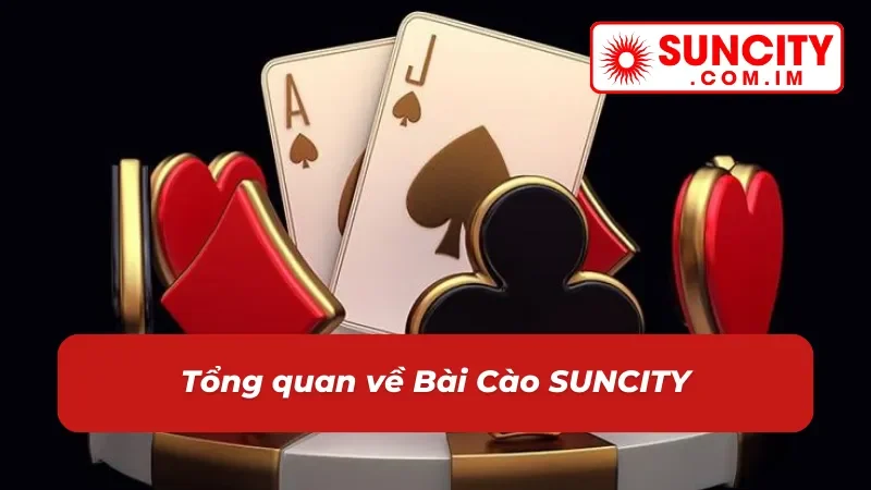 Đôi nét về game Bài Cào tại nhà cái